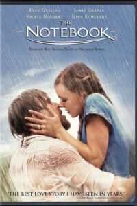 Download The Notebook (2004) Dual Audio {Hindi-English} 1080p 10Bit Bluray Esubs