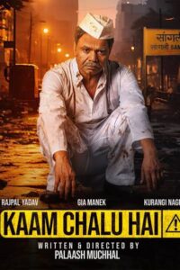 Watch Kaam Chalu Hai full movie online in HD